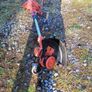 Black and Decker Corded Garden Strimmer Image 2
