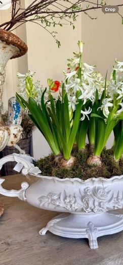 ShabbyChic Old Vintage Display Piece..