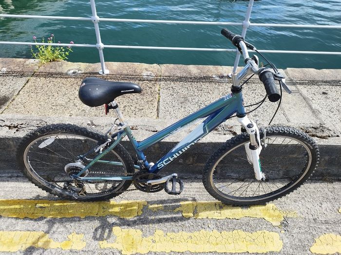 Mountain Bike (Step through)