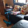 two seater leather sofa Image 3