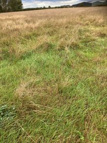 Silage free. No charge.