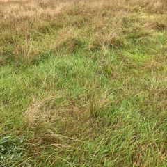 Silage free. No charge.