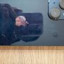 iPhone 14 Image 5