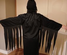 Halloween Costume