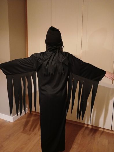 Halloween Costume