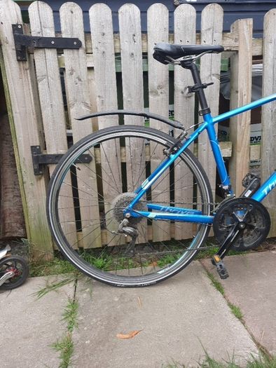 Giant ladies bike