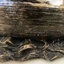 Vintage 2000 Currach Boat Scene Image 6