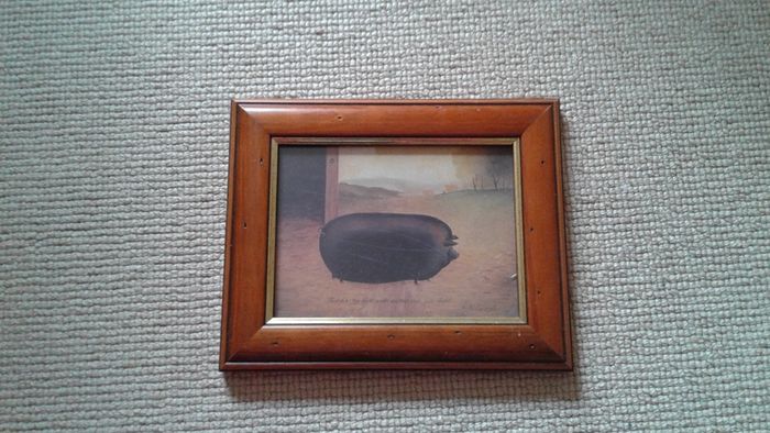 Pig picture in frame