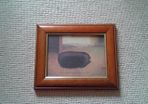 Pig picture in frame