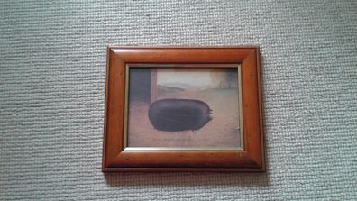 Pig picture in frame