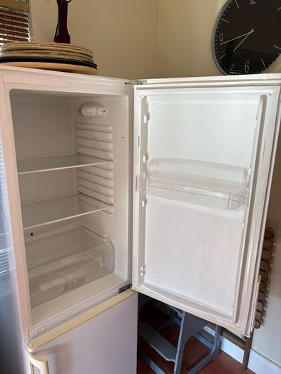 FREE- Fridge