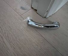 Professional chrome shower head