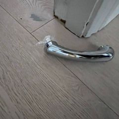Professional chrome shower head