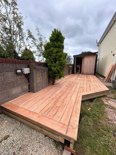 Larch Timber