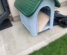 Dog house