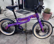 Black Mountain Pinto Kids Grow bike