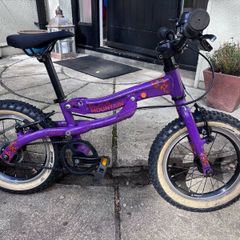 Black Mountain Pinto Kids Grow bike