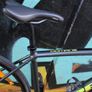 Trek Domane | AL 3 Disc | Size Medium | Sora Image 2