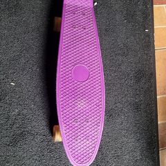 Skateboard pennyboard