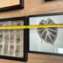 photo/picture frames x 9 Image 6