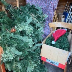 christmas tree