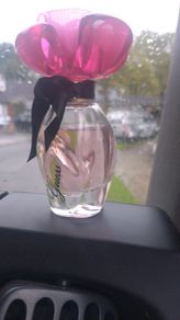 Guess Girl Belle Perfume