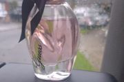 Guess Girl Belle Perfume