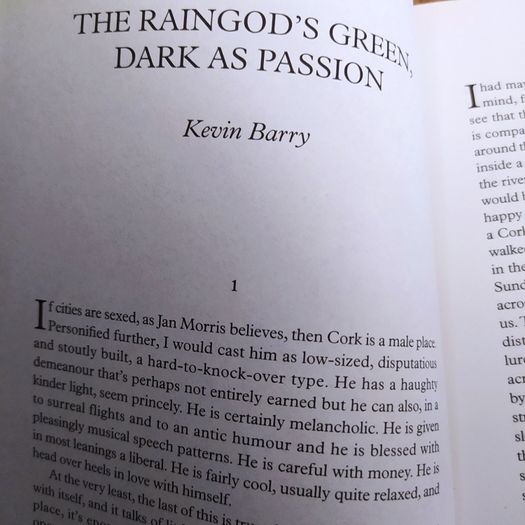 Granta/ 135/2016/ New Irish Writing