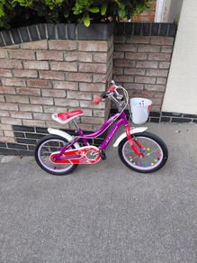 Shwimm Elm Child's Bike 16 inch