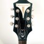 Epiphone Wildkat Bigsby ( Limited edition) Image 2