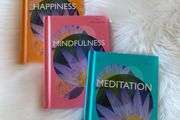 The Tiny Healer Mindfulness, Happiness and Meditation