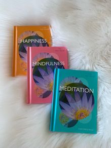 The Tiny Healer Mindfulness, Happiness and Meditation