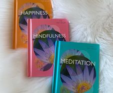The Tiny Healer Mindfulness, Happiness and Meditation