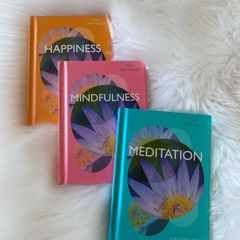 The Tiny Healer Mindfulness, Happiness and Meditation