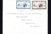 1938 Ireland Father Matthew (Centenary of the Temperance Crusade) Commemorative Stamps Typed addressed First Day Cover (FDC) with Baile Atha Cliath (Dublin) cancel