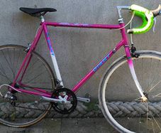 90s giant team 24"