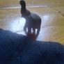 wooden elephant Image 2