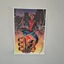 Collection of Comic Book Canvas Posters Image 7