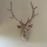 Stags Head Image 3