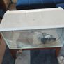 fish/reptile tank Image 3