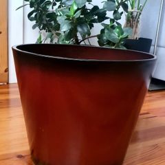 Flower Pot Large New