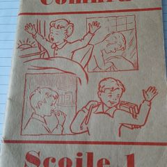 vintage Gaeilge book