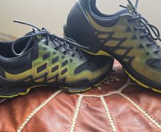 Men's Ecco Biom Shoes