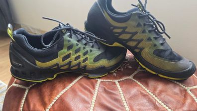 Men's Ecco Biom Shoes