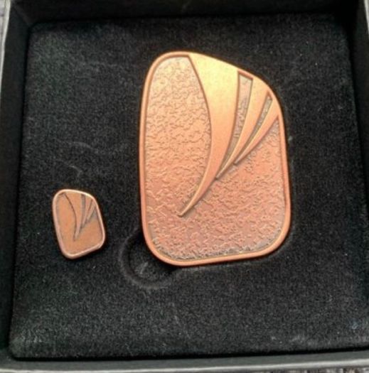 Gaisce President Award