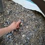 Batch (gravel and sand) Image 3