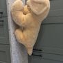 Large Fluffy Dog Image 2