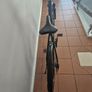 Polar Forester Pro 28 inch bicycle Image 2