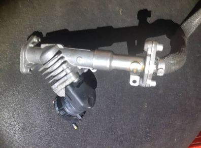 Bmw 318i 2011 Egr Valve 7563241
