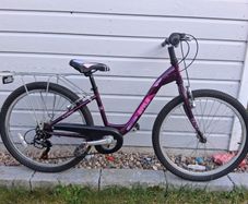 Kids Purple Bike